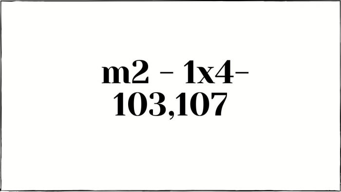 1x4-103,107