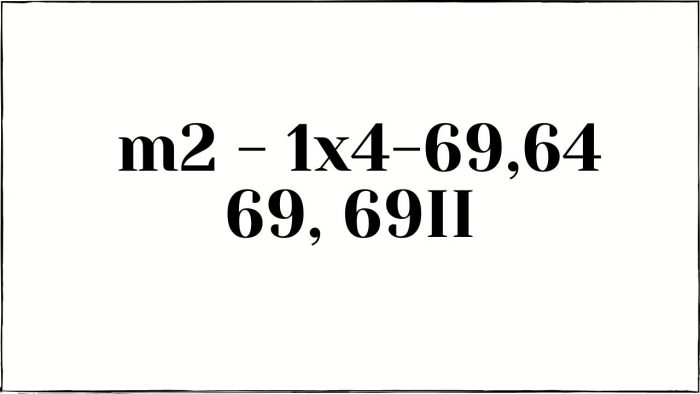 1x4-69,64 69, 69II