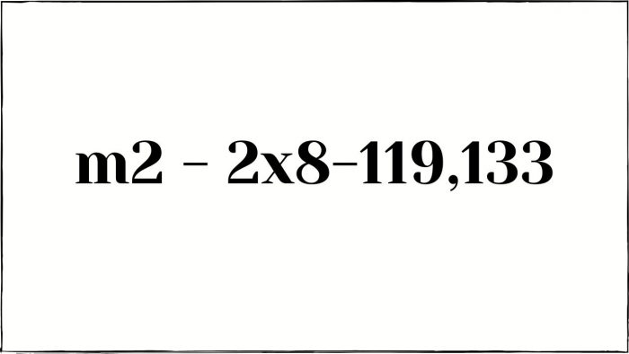 2x8-119,133
