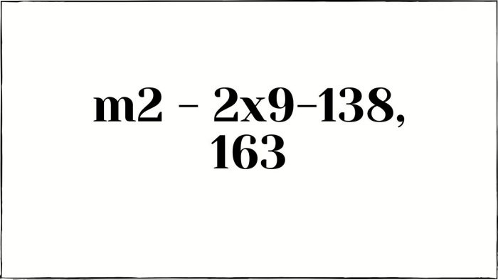 2x9-138, 163