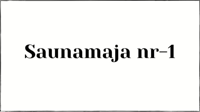 Saunamaja nr-1